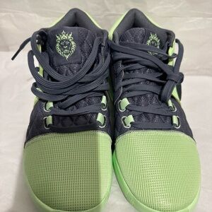 Nike men’s LeBron witness 8 vapor Green and Gray Shoes size 9.5